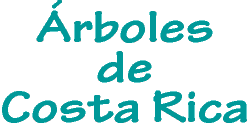 Árboles de Costa Rica