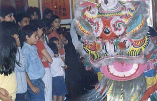 Foto de danza de leones