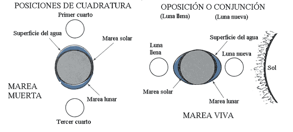 Posiciones de cuadratura y oposición