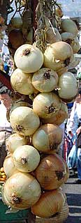 Cebollas